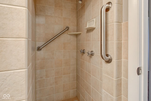 2205 Lafayette Rd, Crawfordsville, IN 47933 - bathroom with a tile shower