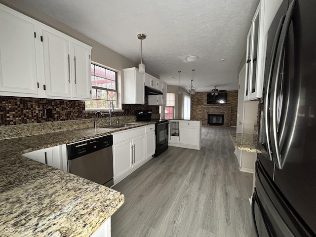 kitchen featuring under cabinet range hood, decorative backsplash, a sink, light wood-style floors, and black appliances