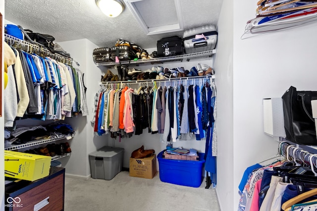 spacious closet featuring attic access and carpet