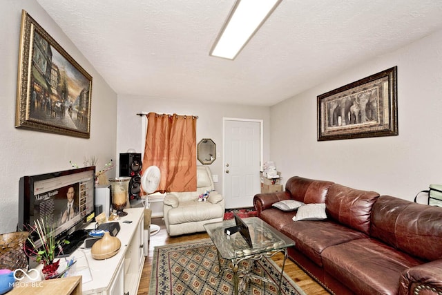 living area featuring wood finished floors and a textured ceiling