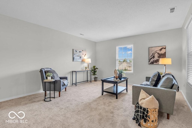 1632 Queensbridge Sq Unit 7, Indianapolis, IN 46219 - living area with carpet, baseboards, and a textured ceiling