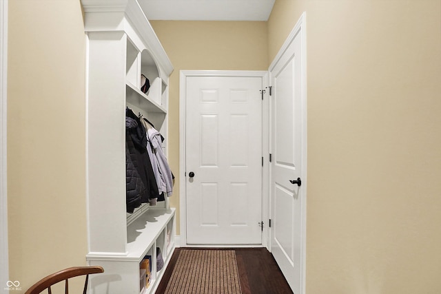 mudroom featuring dark wood-type flooring