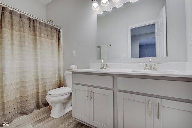 3799 Hoosier Down Dr, Bargersville, IN 46106 - full bath featuring toilet, wood finished floors, a sink, and double vanity