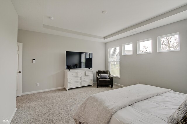 3799 Hoosier Down Dr, Bargersville, IN 46106 - bedroom featuring light carpet, baseboards, and a tray ceiling