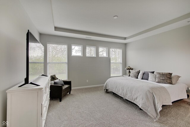 3799 Hoosier Down Dr, Bargersville, IN 46106 - bedroom with a tray ceiling, baseboards, and light colored carpet