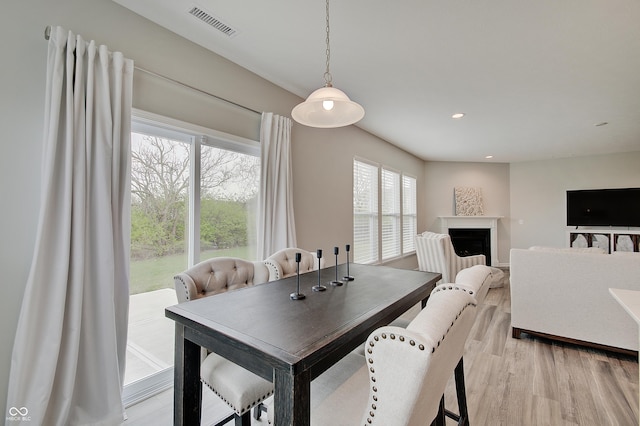 3799 Hoosier Down Dr, Bargersville, IN 46106 - dining space featuring a healthy amount of sunlight, light wood finished floors, visible vents, and a fireplace