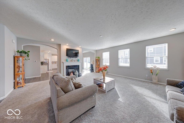 5839 Altar Bell Cir, Greenwood, IN 46143 - living room featuring arched walkways, baseboards, a textured ceiling, and carpet floors