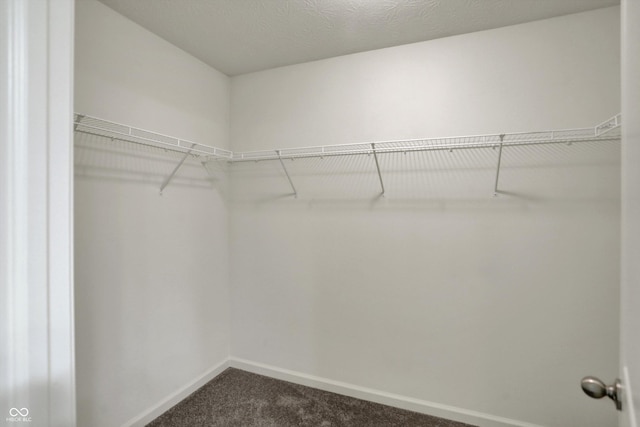 spacious closet with dark colored carpet