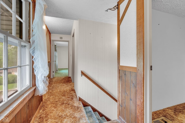 corridor with carpet, a textured ceiling, and a healthy amount of sunlight