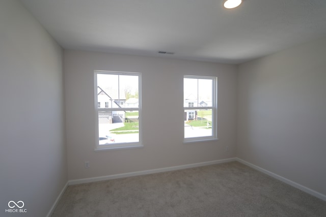 10543 Banyan Wood Ct, Indianapolis, IN 46239 - spare room with healthy amount of natural light, carpet flooring, and baseboards