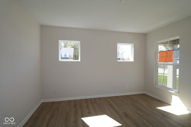 10543 Banyan Wood Ct, Indianapolis, IN 46239 - empty room with wood finished floors and baseboards