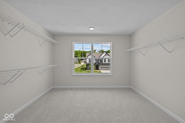 10543 Banyan Wood Ct, Indianapolis, IN 46239 - photo 21