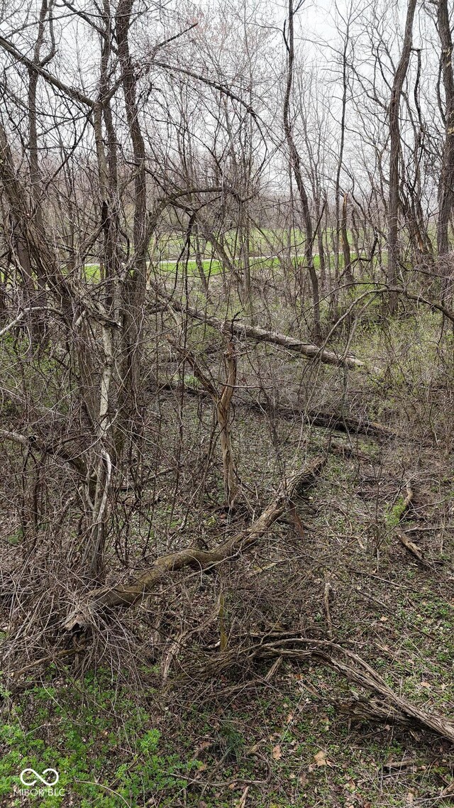 0 W State Road 234, Crawfordsville, IN 47933 - photo 13