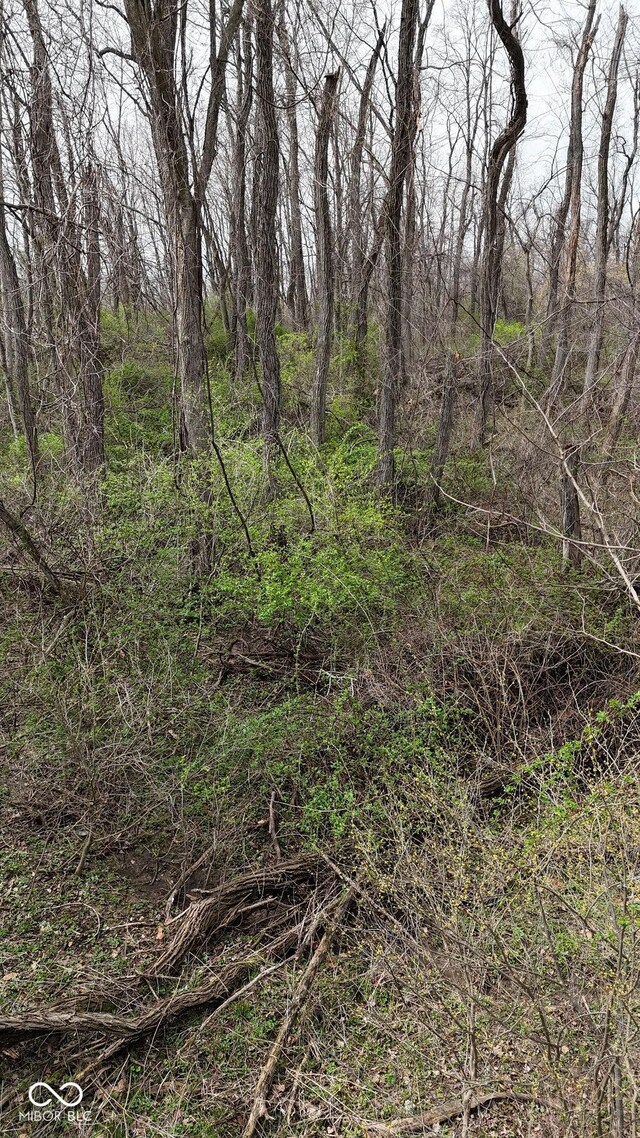 0 W State Road 234, Crawfordsville, IN 47933 - photo 7