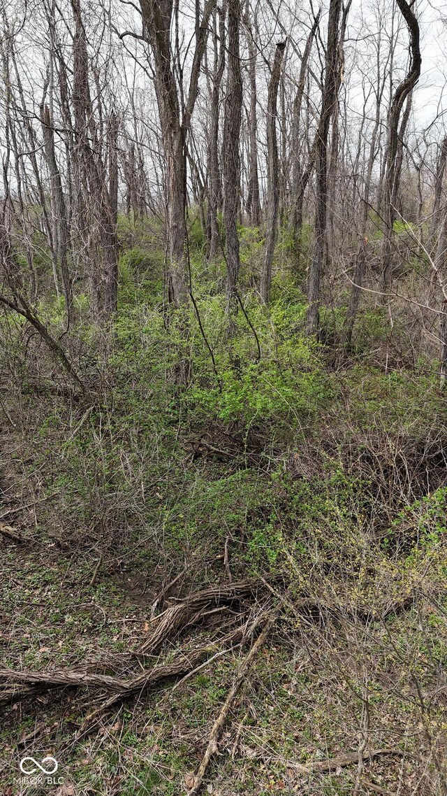 0 W State Road 234, Crawfordsville, IN 47933 - photo 14
