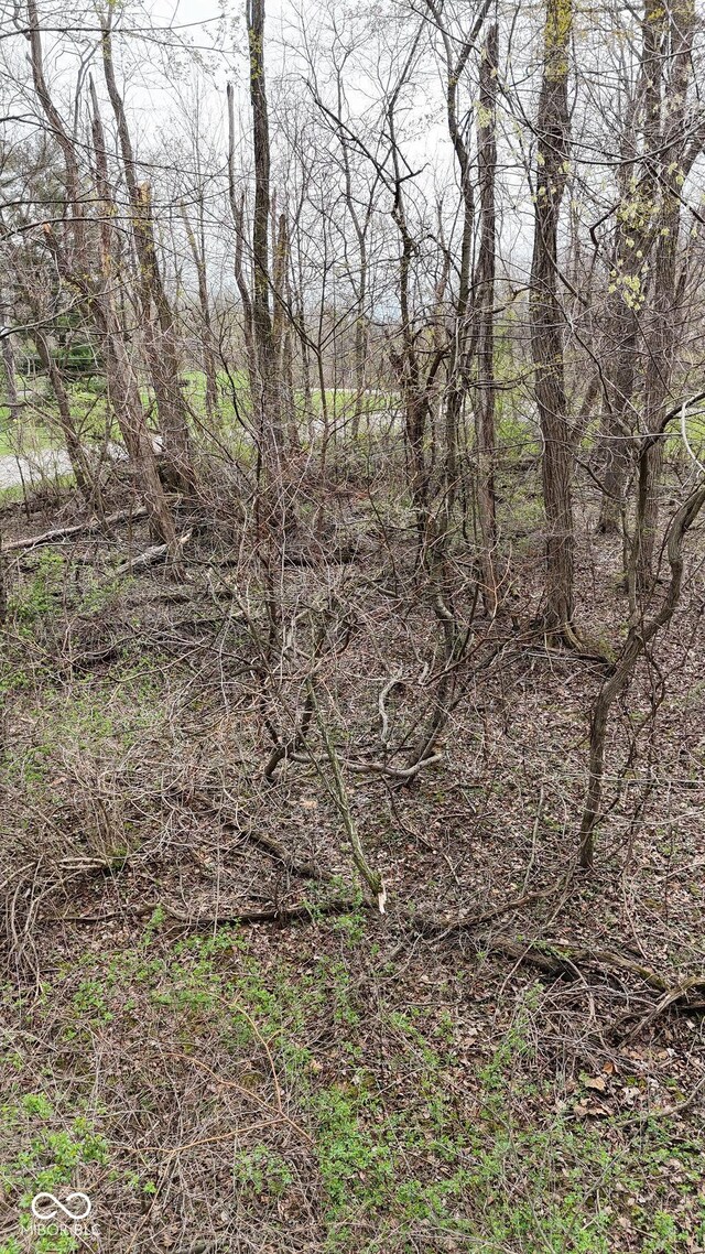 0 W State Road 234, Crawfordsville, IN 47933 - photo 11
