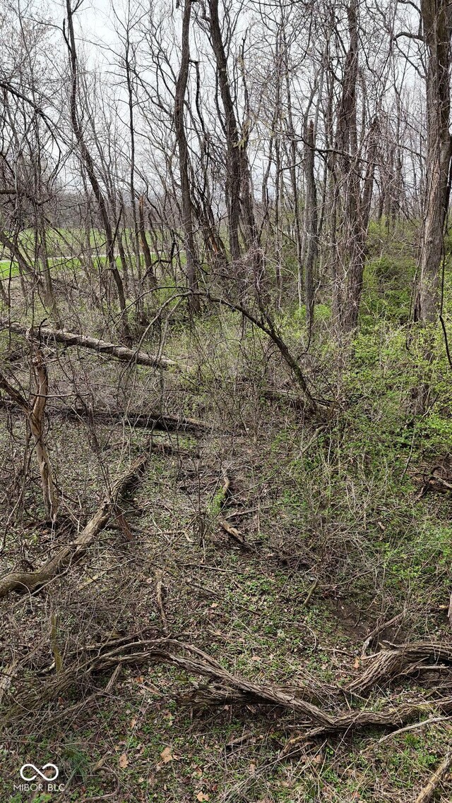 0 W State Road 234, Crawfordsville, IN 47933 - photo 8