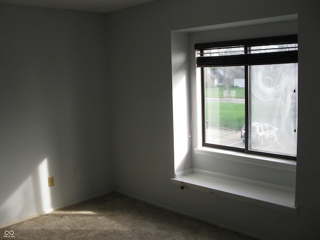 unfurnished room featuring carpet