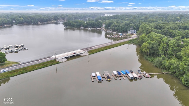 102 Knoll Ct Unit D, Noblesville, IN 46062 - aerial view of a large body of water