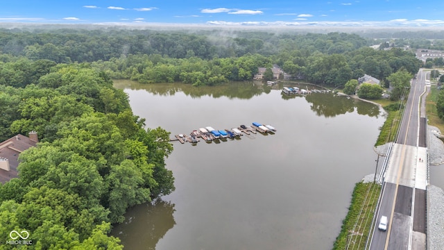 102 Knoll Ct Unit D, Noblesville, IN 46062 - aerial view of a nearby body of water