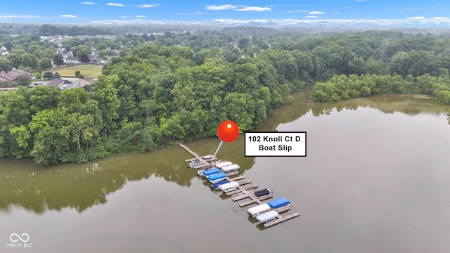 102 Knoll Ct Unit D, Noblesville, IN 46062 - bird's eye view of a nearby body of water and a heavily wooded area