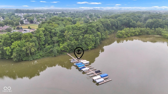 102 Knoll Ct Unit D, Noblesville, IN 46062 - aerial view of a large body of water and a forest