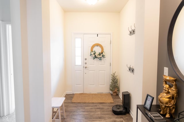 entryway featuring wood finished floors