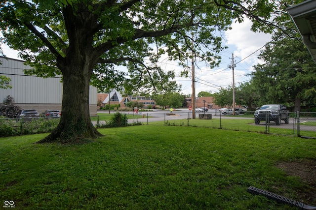 3140 Bonham Dr, Indianapolis, IN 46222 - view of yard
