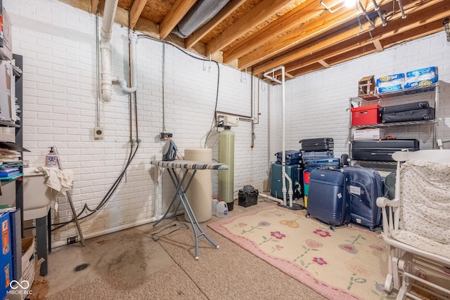 unfinished below grade area with brick wall