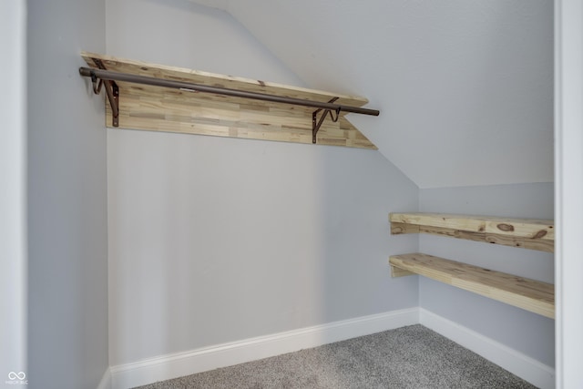 walk in closet featuring carpet and vaulted ceiling