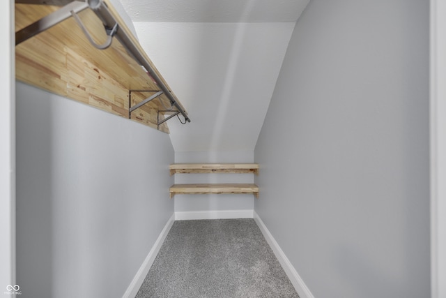 walk in closet with carpet flooring and lofted ceiling