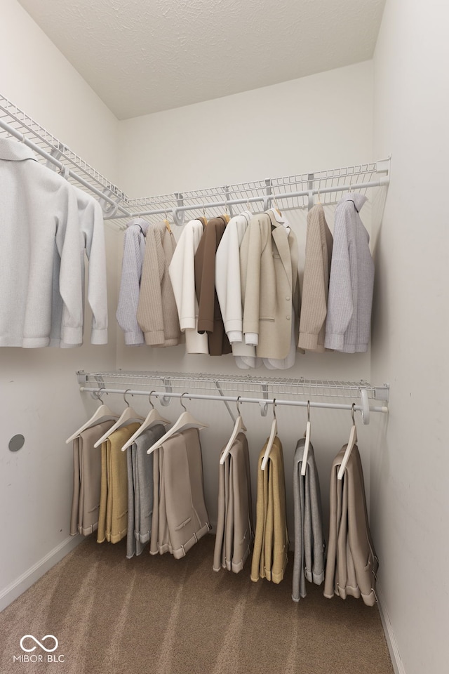 518 Carthage Cir, Westfield, IN 46074 - spacious closet with carpet