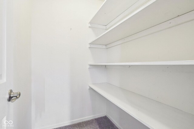 10303 Memorial Knoll Dr, Indianapolis, IN 46234 - view of pantry