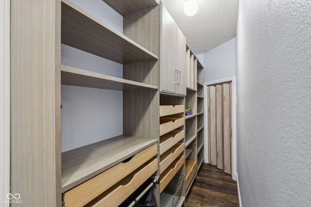 10303 Memorial Knoll Dr, Indianapolis, IN 46234 - spacious closet with dark wood-type flooring