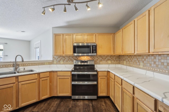 10303 Memorial Knoll Dr, Indianapolis, IN 46234 - kitchen featuring light brown cabinets, a sink, appliances with stainless steel finishes, dark wood-type flooring, and decorative backsplash