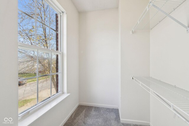 10303 Memorial Knoll Dr, Indianapolis, IN 46234 - walk in closet with carpet flooring
