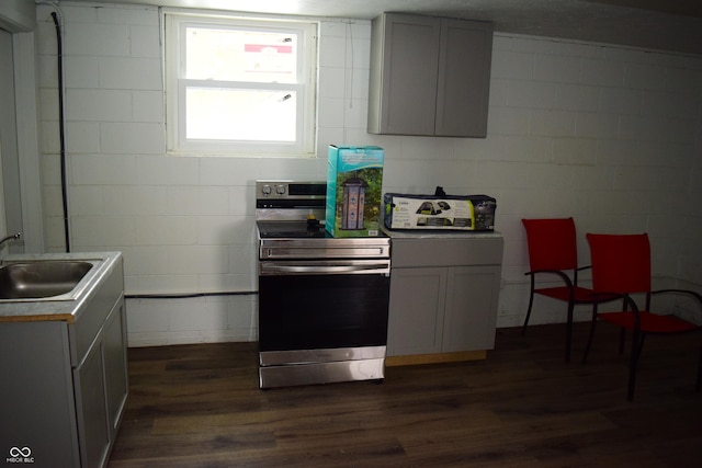 4107 Eisenhower Dr, Indianapolis, IN 46254 - kitchen featuring dark wood-type flooring, stainless steel electric range oven, a sink, and concrete block wall