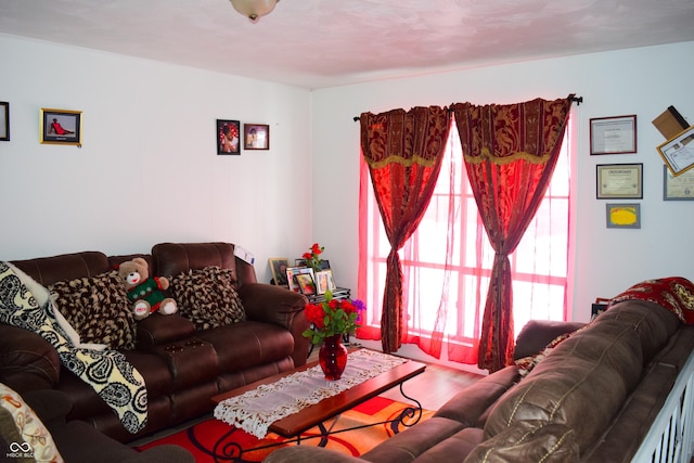 4107 Eisenhower Dr, Indianapolis, IN 46254 - living room featuring wood finished floors