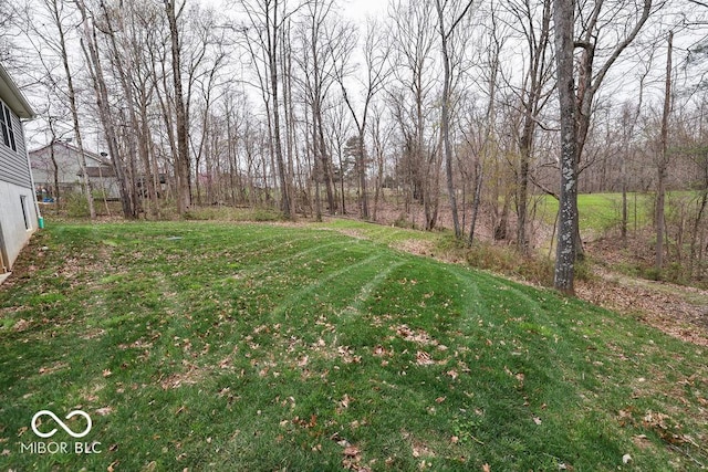8917 N Old State Road 37, Bloomington, IN 47408 - view of yard