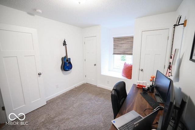 8917 N Old State Road 37, Bloomington, IN 47408 - carpeted office with baseboards