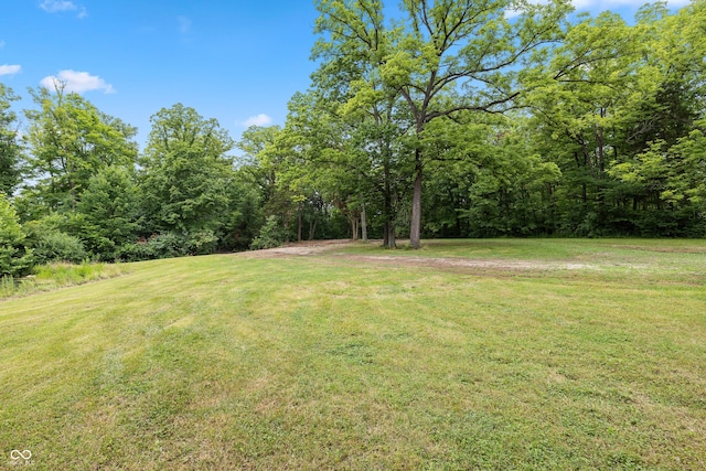 7730 S 775 E, Zionsville, IN 46077 - photo 4