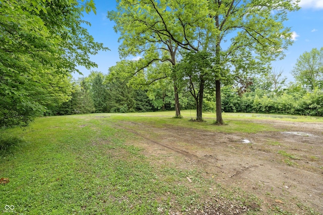 7730 S 775 E, Zionsville, IN 46077 - photo 6