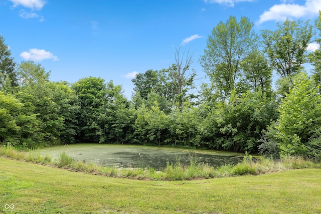 7730 S 775 E, Zionsville, IN 46077 - photo 8