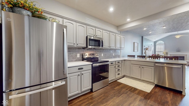 7971 Cool Hollow Pl, Indianapolis, IN 46237 - kitchen featuring dark wood-style flooring, recessed lighting, a peninsula, stainless steel appliances, and a sink