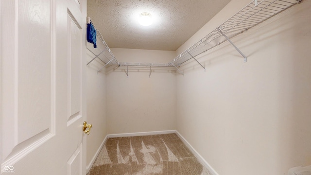 7971 Cool Hollow Pl, Indianapolis, IN 46237 - spacious closet featuring carpet floors