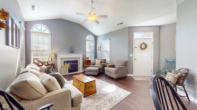 7971 Cool Hollow Pl, Indianapolis, IN 46237 - living room featuring dark wood-type flooring, visible vents, a wealth of natural light, and vaulted ceiling
