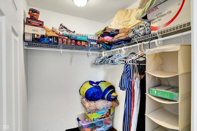 view of spacious closet