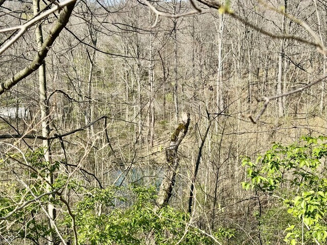 0 N Blue Bluff Rd, Martinsville, IN 46151