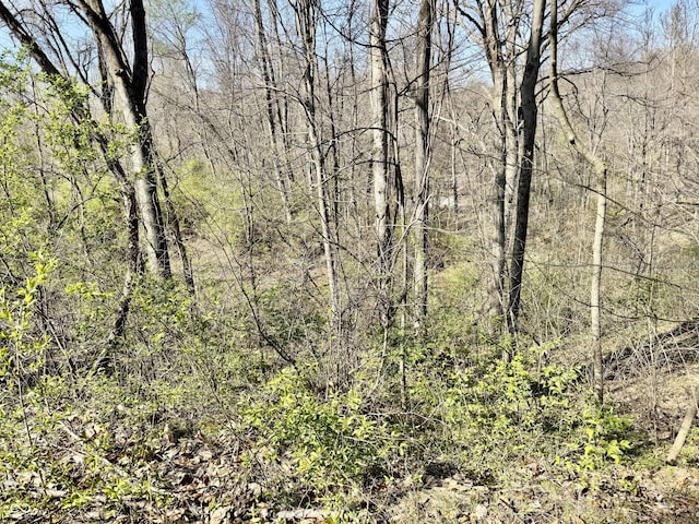 0 N Blue Bluff Rd, Martinsville, IN 46151