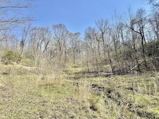 0 N Blue Bluff Rd, Martinsville, IN 46151